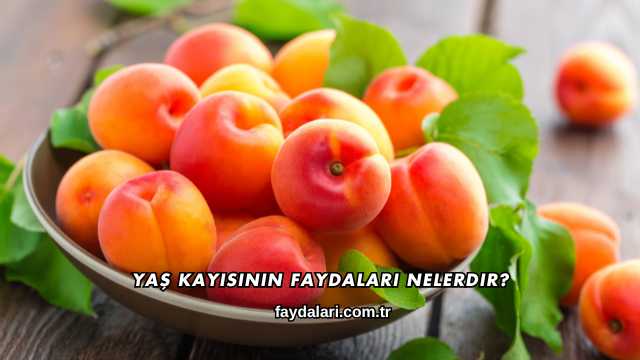Yaş Kayısının Faydaları Nelerdir?