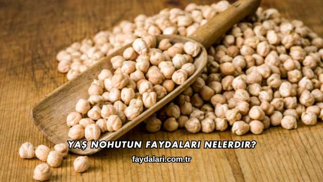 Yaş Nohutun Faydaları Nelerdir?