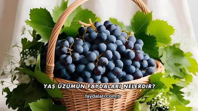 Yaş Üzümün Faydaları Nelerdir?
