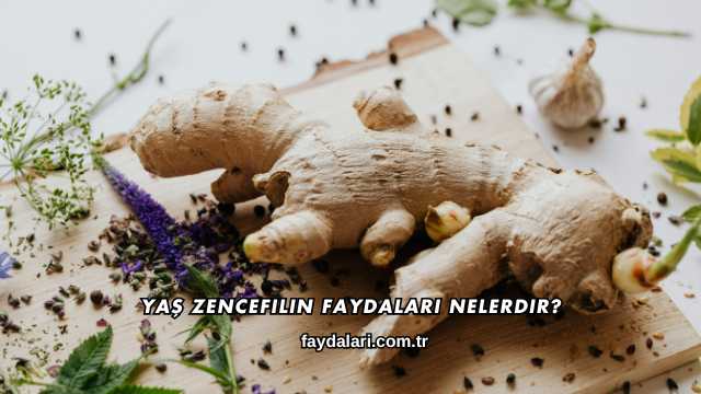Yaş Zencefilin Faydaları Nelerdir?