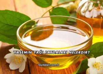 Yasemin Yağı Faydaları Nelerdir?