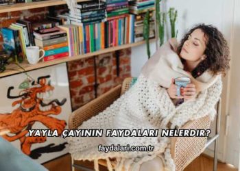 Yayla Çayının Faydaları Nelerdir?