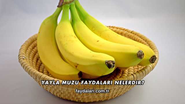 Yayla Muzu Faydaları Nelerdir?