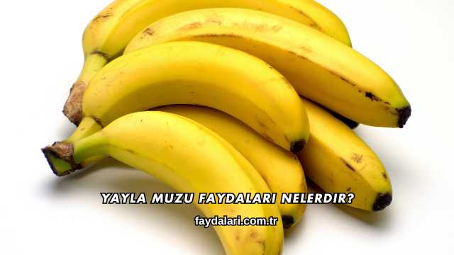 Yayla Muzu Faydaları Nelerdir?