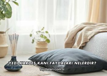 Yedi Kardeş Kanı Faydaları Nelerdir?
