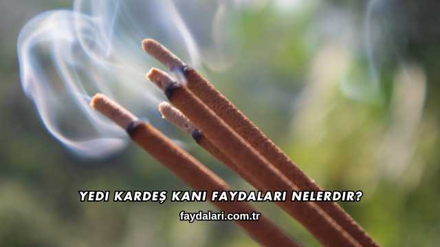 Yedi Kardeş Kanı Faydaları Nelerdir?