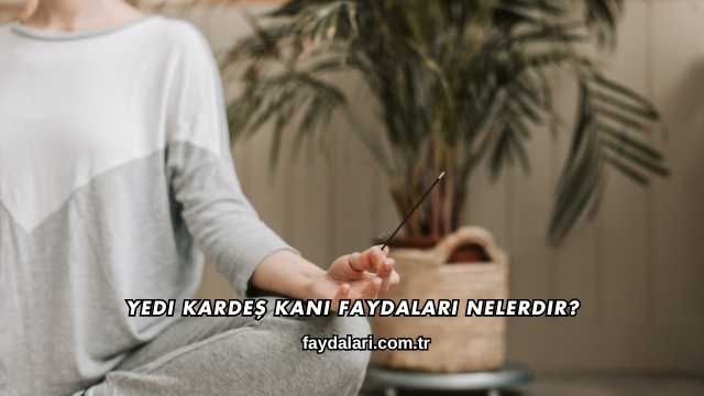 Yedi Kardeş Kanı Faydaları Nelerdir?