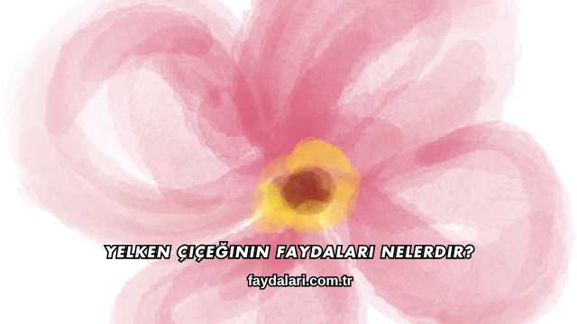 Yelken Çiçeğinin Faydaları Nelerdir?