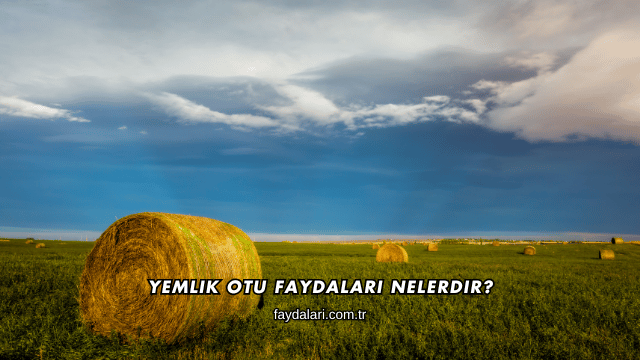 Yemlik Otu Faydaları Nelerdir?