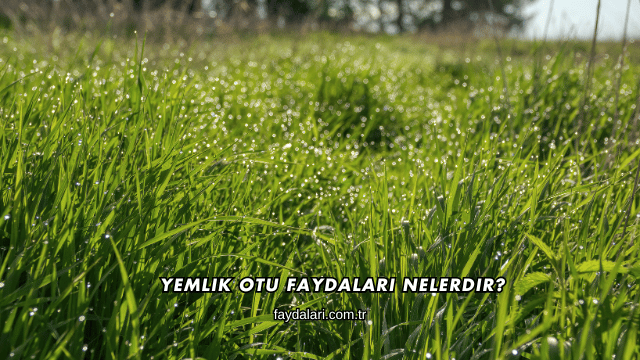 Yemlik Otu Faydaları Nelerdir?