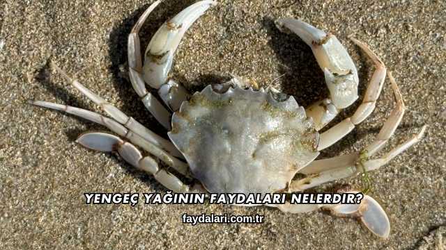 Yengeç Yağının Faydaları Nelerdir?
