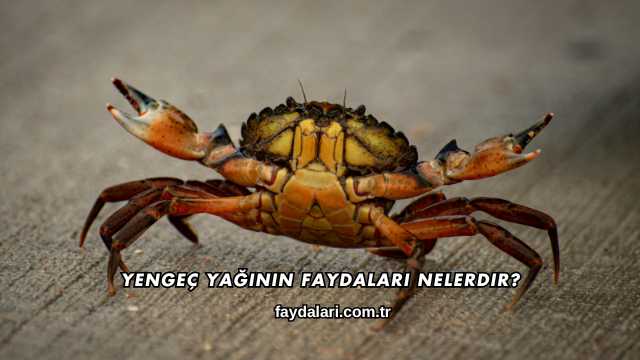 Yengeç Yağının Faydaları Nelerdir?