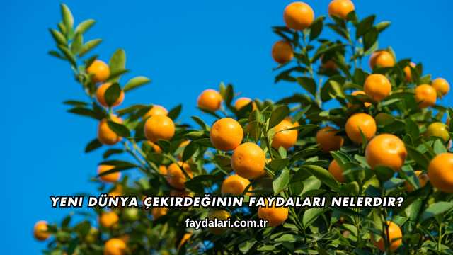 Yeni Dünya Çekirdeğinin Faydaları Nelerdir?