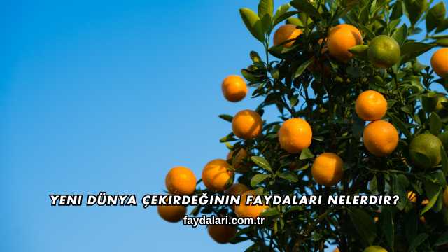 Yeni Dünya Çekirdeğinin Faydaları Nelerdir?