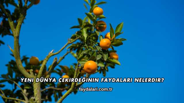 Yeni Dünya Çekirdeğinin Faydaları Nelerdir?