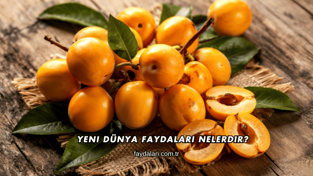 Yeni Dünya Faydaları Nelerdir