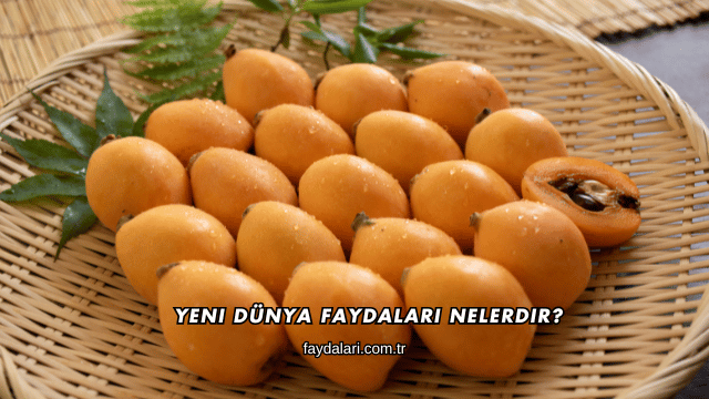 Yeni Dünya Faydaları Nelerdir