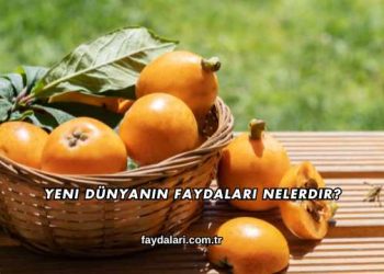 Yeni Dünyanın Faydaları Nelerdir?
