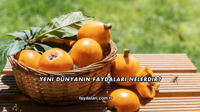 Yeni Dünyanın Faydaları Nelerdir?