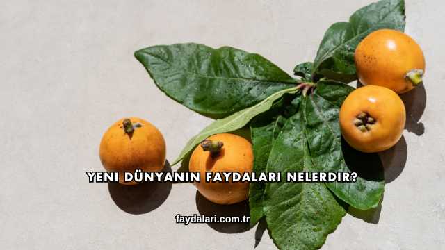 Yeni Dünyanın Faydaları Nelerdir?