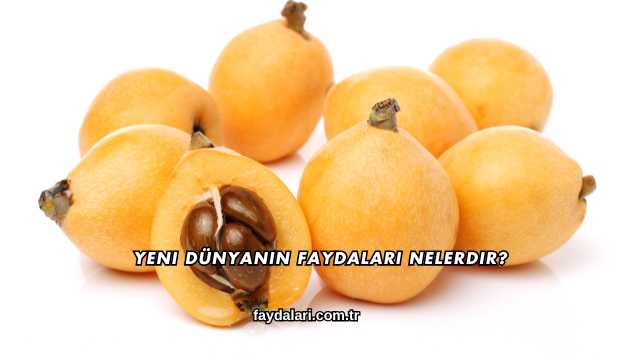 Yeni Dünyanın Faydaları Nelerdir?