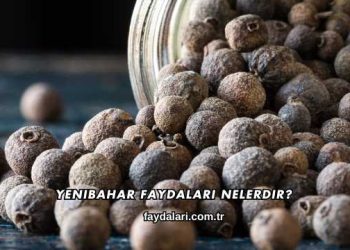Yenibahar Faydaları Nelerdir?