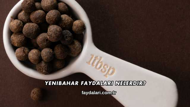 Yenibahar Faydaları Nelerdir?