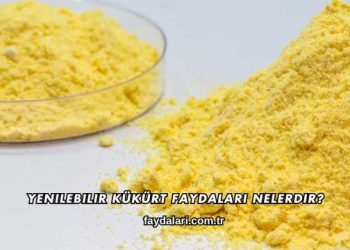 Yenilebilir Kükürt Faydaları Nelerdir?