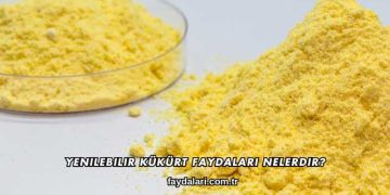 Yenilebilir Kükürt Faydaları Nelerdir?