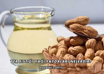 Yer Fıstığı Yağı Faydaları Nelerdir?