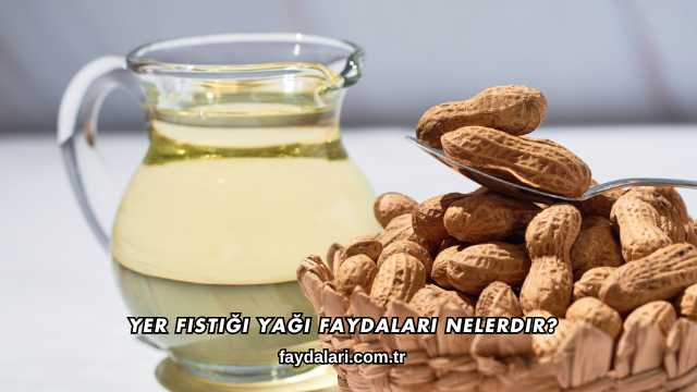 Yer Fıstığı Yağı Faydaları Nelerdir?