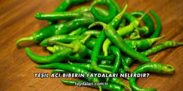 Yeşil Acı Biberin Faydaları Nelerdir?