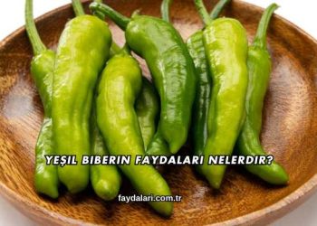 Yeşil Biberin Faydaları Nelerdir?