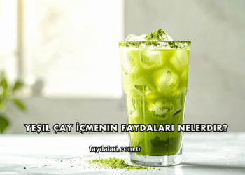 Yeşil Çay İçmenin Faydaları Nelerdir?