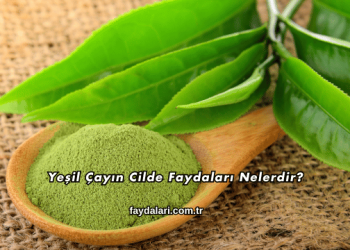 Yeşil Çayın Cilde Faydaları Nelerdir?