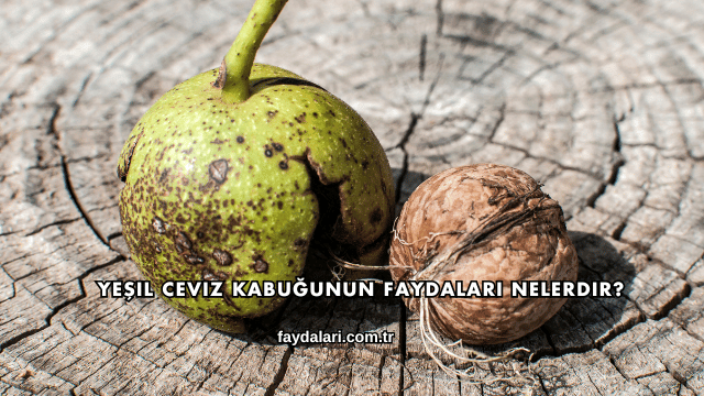 Yeşil Ceviz Kabuğunun Faydaları Nelerdir?