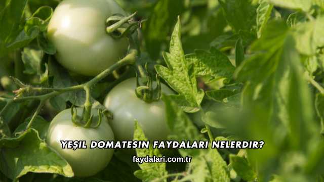 Yeşil Domatesin Faydaları Nelerdir?