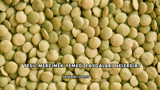 Yeşil Mercimek Yemeği Faydaları Nelerdir?