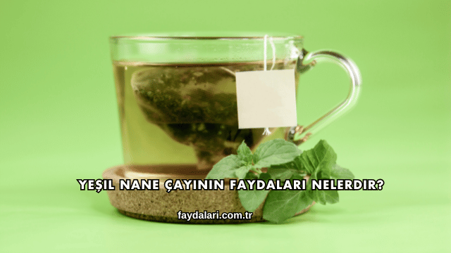 Yeşil Nane Çayının Faydaları Nelerdir?