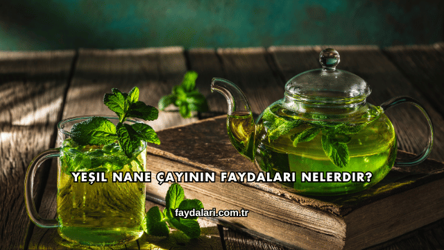Yeşil Nane Çayının Faydaları Nelerdir?