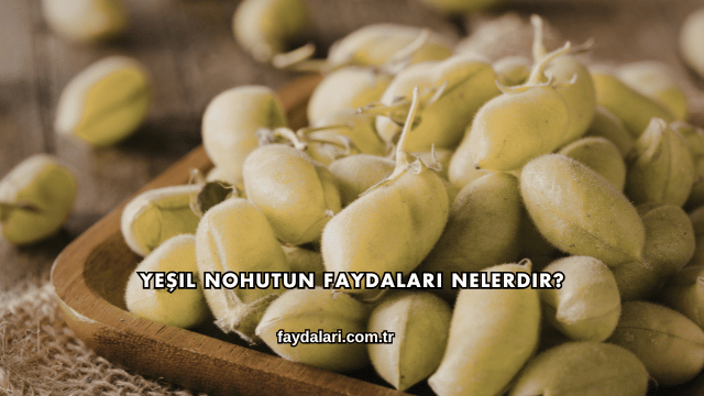 Yeşil Nohutun Faydaları Nelerdir?