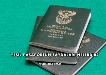 Yeşil Pasaportun Faydaları Nelerdir?