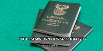 Yeşil Pasaportun Faydaları Nelerdir?