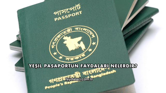 Yeşil Pasaportun Faydaları Nelerdir?
