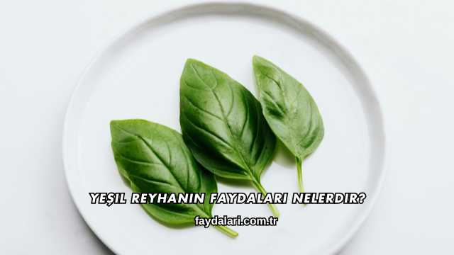 Yeşil Reyhanın Faydaları Nelerdir?