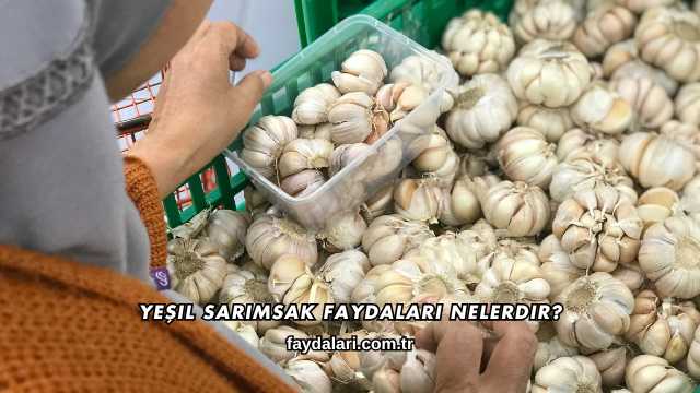 Yeşil Sarımsak Faydaları Nelerdir?