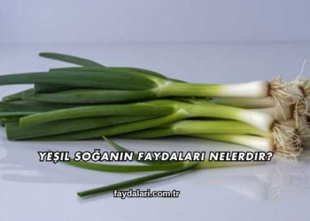 Yeşil Soğanın Faydaları Nelerdir?