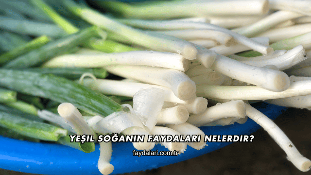 Yeşil Soğanın Faydaları Nelerdir?