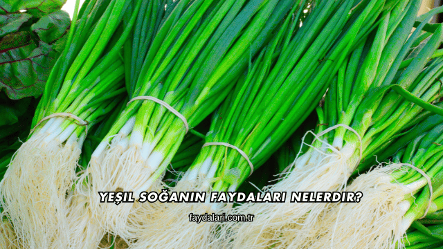 Yeşil Soğanın Faydaları Nelerdir?