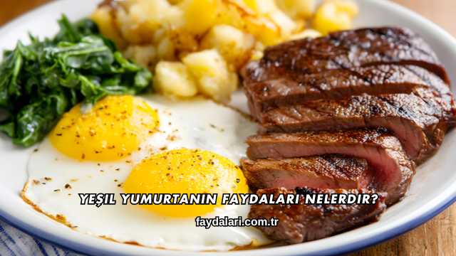Yeşil Yumurtanın Faydaları Nelerdir?